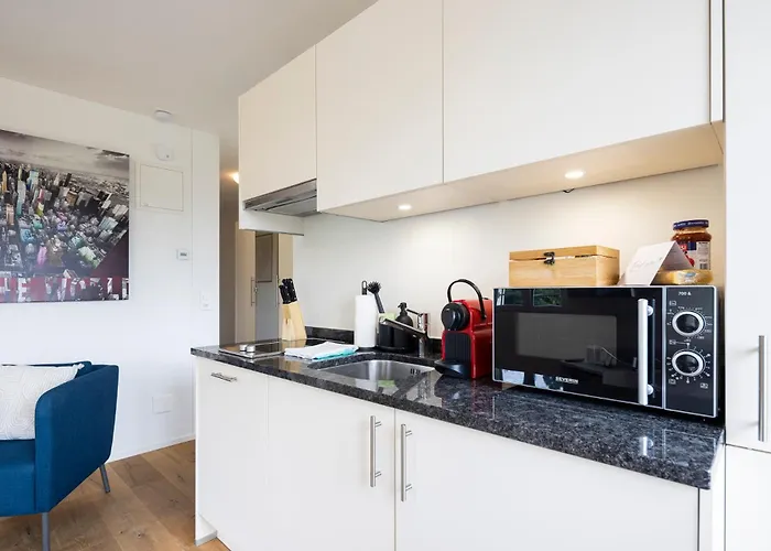 Stayy The River - Contactless Check-in 公寓式酒店 苏黎世