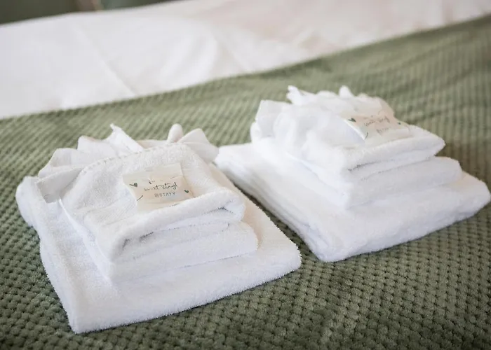 Stayy The River - Contactless Check-in 苏黎世